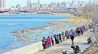 坚持治山治水治城一体推进